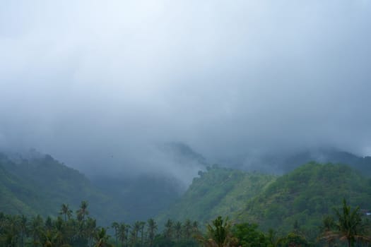 A tropical rainstorm in a rice field with cascading mountains and palm trees