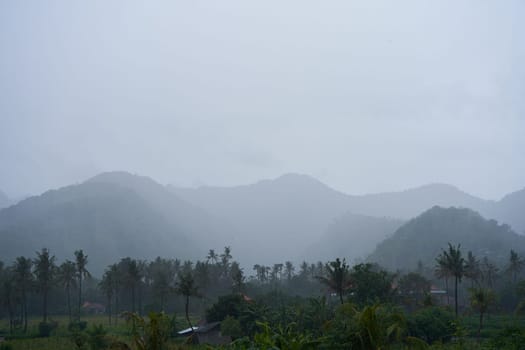 A tropical rainstorm in a rice field with cascading mountains and palm trees