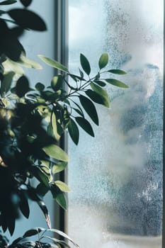 Transparent sticker mockup displayed on a frosted window, highlighted by soft natural light. the subtle botanical design enhances the aesthetic appeal, perfect for elegant branding presentations in various design projects.