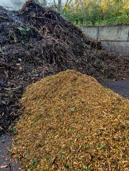 Ecological fertilizer, Chips of pruning remains, ready to use as mulch, High quality photo