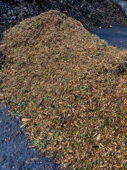 Ecological fertilizer, Chips of pruning remains, ready to use as mulch, High quality photo