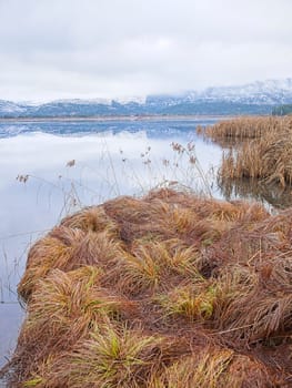 Clusters of yellow grass lay next to the calm pond water under a dramatic cloudy sky in north Idaho.