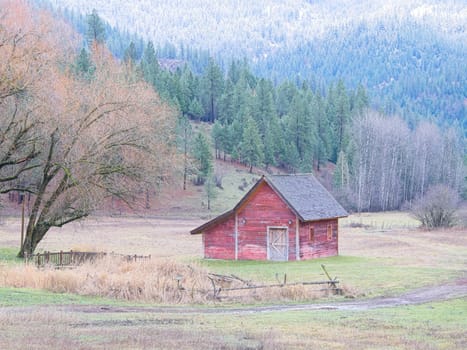 A small red barn stands in a field late in the year in north Idaho.