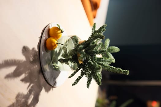 A creatively arranged cactus display showcases vibrant oranges placed on a modern plate in front of a wall