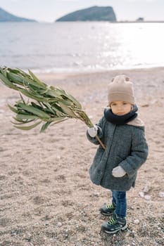 Little girl in mittens with a green branch in her hand stands on the beach. High quality photo