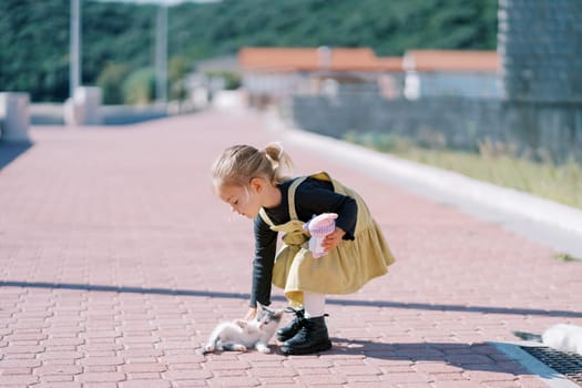 Little girl strokes a kitten lying on a sunny road, leaning towards it. High quality photo