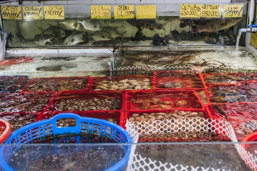 Fish market in Vietnam. A variety of fresh seafood in aquariums at the street market