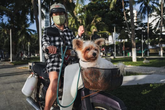 An Asian woman carries her pet dog in a basket on a bike. Nha Trang, Vietnam - July 31, 2024
