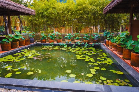 minimalistic koi fish pond, rectangular shaped pond suitable for the backyard of the house