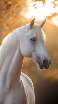 A majestic white horse in soft golden light, exuding elegance.