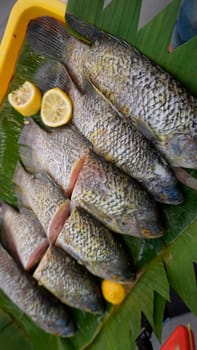 Whole range Guorami fish some kind of tilapia fish prepared for cooking or sale in supermarket are neatly arranged on banana leaves and garnished with lemons, this setup highlights seafood, tropical cuisine, and fresh ingredients for meals.