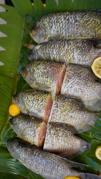 Whole range Guorami fish some kind of tilapia fish prepared for cooking or sale in supermarket are neatly arranged on banana leaves and garnished with lemons, this setup highlights seafood, tropical cuisine, and fresh ingredients for meals.