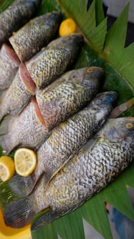 Whole range Guorami fish some kind of tilapia fish prepared for cooking or sale in supermarket are neatly arranged on banana leaves and garnished with lemons, this setup highlights seafood, tropical cuisine, and fresh ingredients for meals.