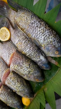 Whole range Guorami fish some kind of tilapia fish prepared for cooking or sale in supermarket are neatly arranged on banana leaves and garnished with lemons, this setup highlights seafood, tropical cuisine, and fresh ingredients for meals.