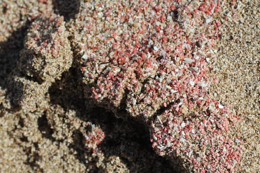 CRETE ISLAND. Falassarna beach on the northwest of Chania prefecture. Pink sand large paid on the beach of flassarna greece