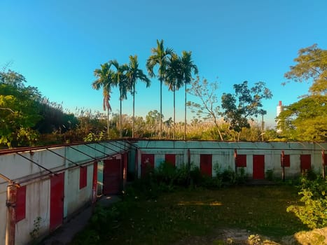 Nestled in a tropical setting, a row of weathered, red-and-white striped buildings stand, their faded glory hinting at a past bustling with life. Towering palm trees and lush greenery frame the scene, contrasting with the rustic, abandoned structures. The clear blue sky casts a serene mood, making this a picturesque blend of nature reclaiming man-made structures.