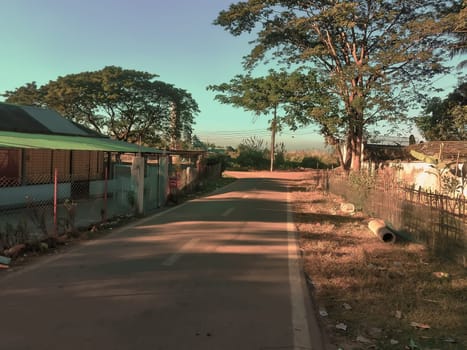 A quiet, sunlit street stretches into the distance, flanked by a mix of greenery and modest homes in a rural setting. The warm, tranquil mood is accentuated by the play of light on the pavement, while fences and scattered foliage add a touch of rustic charm.