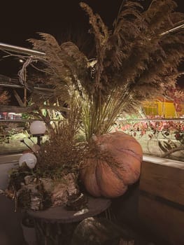 aesthetic photo of a pumpkin and leaves on a dark night background. Harvest festive Thanksgiving concept