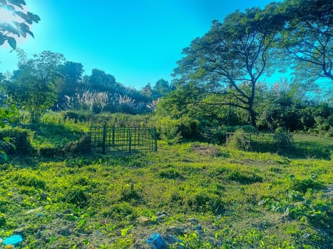 Amidst a verdant landscape, a lone, rusted metal gate stands as a relic of the past. Sunlight filters through the trees, casting dappled shadows on the overgrown grass. The serene, slightly eerie atmosphere suggests forgotten stories, inviting curiosity about what lies beyond the gate.