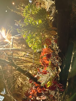 Aesthetic warm vintage photo with Christmas festive plants and decorations