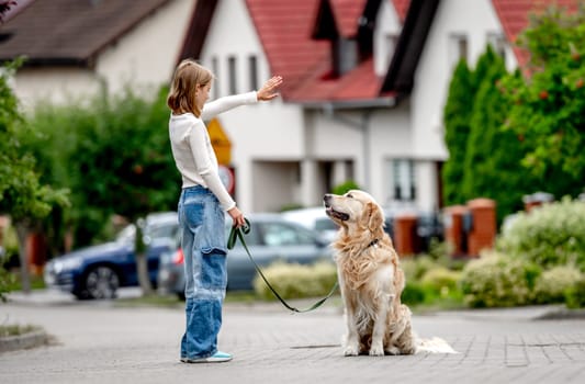 Preteen girl teaching golden retriever dog walking at city street. Pretty child kid with purebred pet doggy outdoors