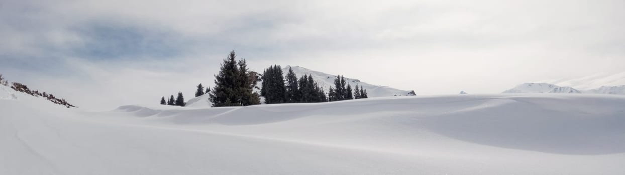 Snow-covered clean slopes in the winter mountains of Central Asia. Banner calm landscape in the mountains of Central Asia.