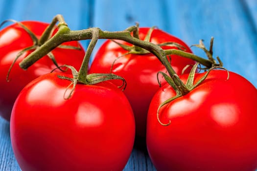 A close up of fresh tomatoes on a vine set on a blue table.