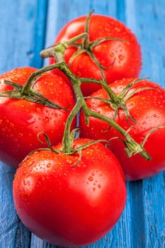 A close up of fresh wet tomatoes on a vine set on a blue table.
