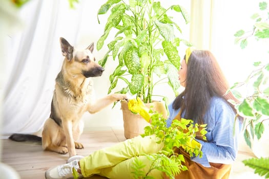 A gardener enjoys her time with a dog while nurturing vibrant plants indoors.