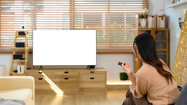 Back view of woman holding a remote control watching a large blank television screen.