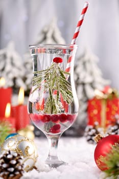  Snow Globe Cocktail. Rosemary Instead of a Christmas Tree with Cranberry, Gin and Tonic. A Festive Drink for Christmas