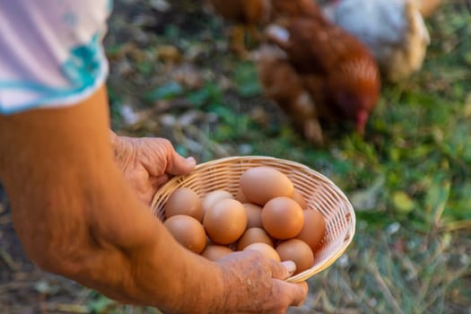 Grandmother holding eggs on a farm. Selective focus. food.