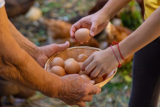 Child holding eggs on a farm. Selective focus. Kid.