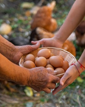 Child holding eggs on a farm. Selective focus. Kid.