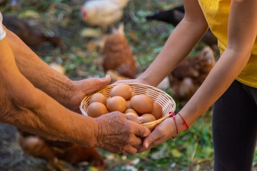 Child holding eggs on a farm. Selective focus. Kid.