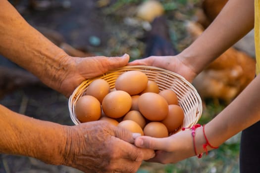 Child holding eggs on a farm. Selective focus. Kid.