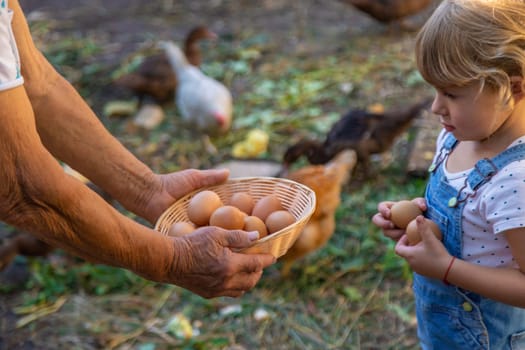 Child holding eggs on a farm. Selective focus. Kid.