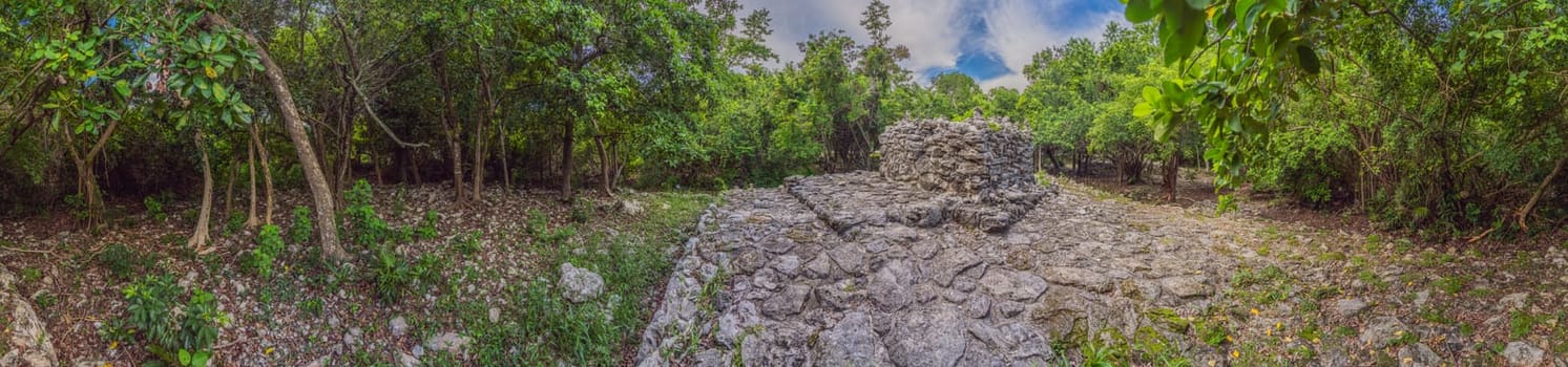 Panoramic view of a small Mayan pyramid nestled beneath the towering greenery of the Mexican jungle. A hidden treasure surrounded by lush tropical plants, symbolizing history, culture, and ancient civilization.