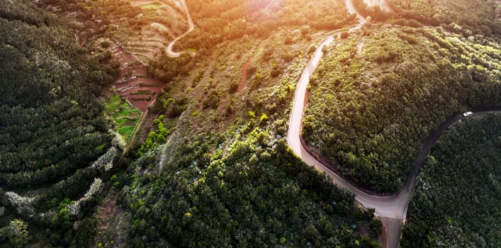 Top view from a drone of a stunning beautiful road, green forests and valleys, mountains, the way to the Masca Gorge, canyon in Tenerife, the Canary Islands in the Atlantic Ocean.