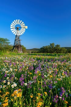 A scenic view of a rustic windmill surrounded by a vibrant field of spring flowers under a clear blue sky, evoking the tranquility and natural beauty of the countryside in springtime. ideal for nature and travel-themed designs.