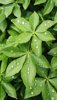 Fresh green leaves glisten with raindrops in the soft morning light, evoking a sense of renewal and tranquility. ideal for creating a refreshing and natural seasonal background, celebrating the essence of spring and nature's beauty.