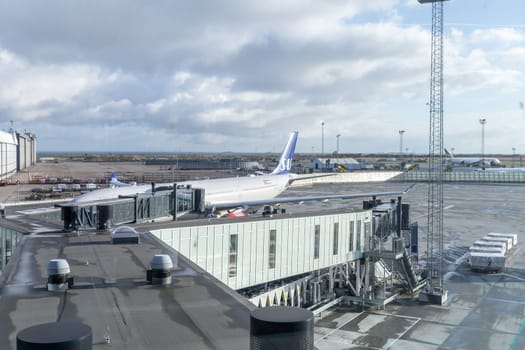 SAS plane parked at Copenhagen airport. Travel by plane. Copenhagen, Denmark - November 27, 2024