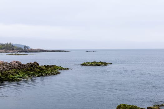 Coast line of sea. Stones covered with yellow and green moss and cloudy sky. Beautiful landscape.