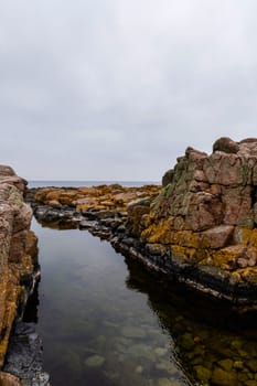 Coast line of sea. Stones covered with yellow and green moss and cloudy sky. Beautiful landscape.