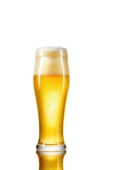 Beer Pilsner Glass Tall Beer Pilsner, with golden beer, isolated on transparent, dynamic foam, refreshing lighting, creative dish,