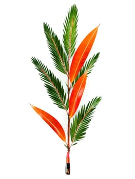 Lipstick Palm, red-orange new growth, green mature leaves, transparent background, product hero shot, dynamic advertisement, motion, isolated.