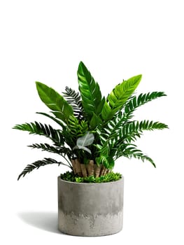 Urban Jungle A cityscape backdrop with a striking zamioculcas in a concrete pot, symbolizing urban greenery.