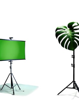 Green Screen Magic Monstera seamlessly integrated into a green screen studio setup.