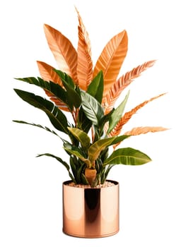 Zamioculcas in rose gold geometric container, dramatic spotlighting, spinning motion, commercial style, clean background