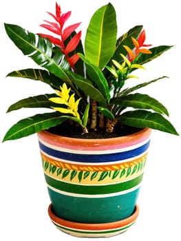 Potted Paradise Imagine a miniature paradise with a vibrant zamioculcas in a tropical-themed pot, surrounded by colorful flowers.